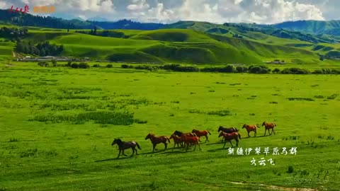 【美！大美中国每一帧都是屏保】这是美丽的祖国，是我们生长的地方。这里的每一寸土地，每一抹色彩，都蕴藏着说不尽的中国韵味。戳视频，一起看大美中国！ 这就是中国 （人民日报）