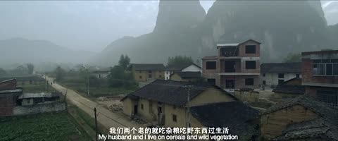 中国幸存慰安妇生存现状记录