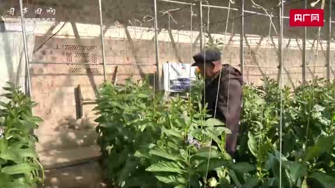 【习声回响】让老百姓幸福就是党的事业